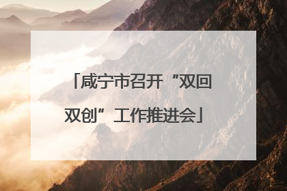 咸宁市召开“双回双创”工作推进会