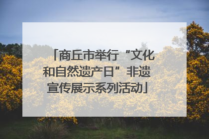 商丘市举行“文化和自然遗产日”非遗宣传展示系列活动