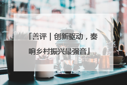 善评｜创新驱动，奏响乡村振兴最强音