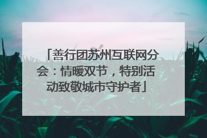 善行团苏州互联网分会：情暖双节，特别活动致敬城市守护者