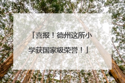 喜报！德州这所小学获国家级荣誉！