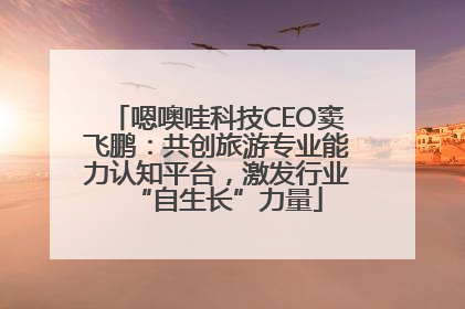 嗯噢哇科技CEO窦飞鹏：共创旅游专业能力认知平台，激发行业“自生长”力量