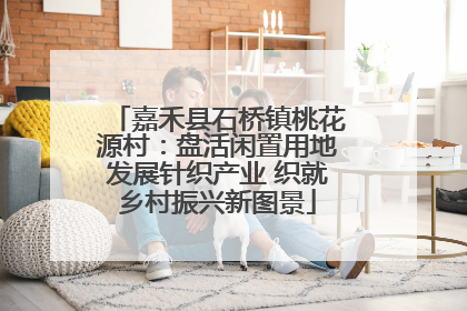 嘉禾县石桥镇桃花源村：盘活闲置用地发展针织产业 织就乡村振兴新图景