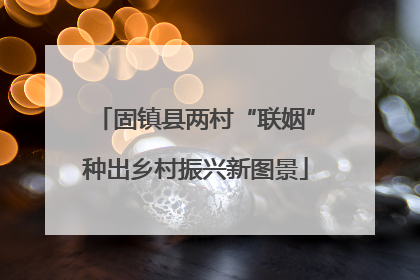 固镇县两村“联姻”种出乡村振兴新图景