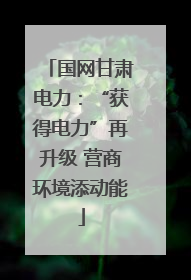 国网甘肃电力：“获得电力”再升级 营商环境添动能