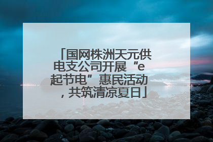 国网株洲天元供电支公司开展“e起节电”惠民活动，共筑清凉夏日
