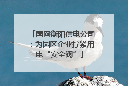 国网衡阳供电公司：为园区企业拧紧用电“安全阀”