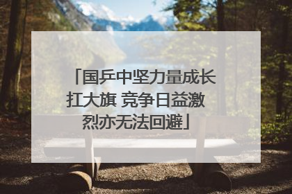 国乒中坚力量成长扛大旗 竞争日益激烈亦无法回避