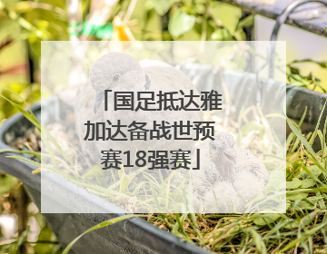 国足抵达雅加达备战世预赛18强赛