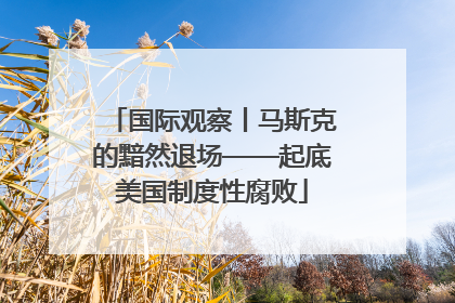 国际观察丨马斯克的黯然退场——起底美国制度性腐败