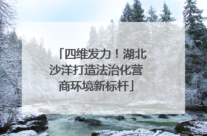 四维发力！湖北沙洋打造法治化营商环境新标杆