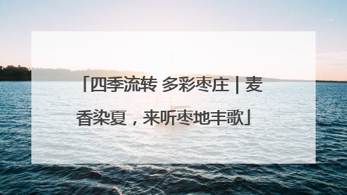 四季流转 多彩枣庄｜麦香染夏，来听枣地丰歌