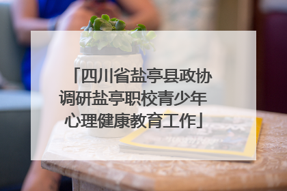 四川省盐亭县政协调研盐亭职校青少年心理健康教育工作