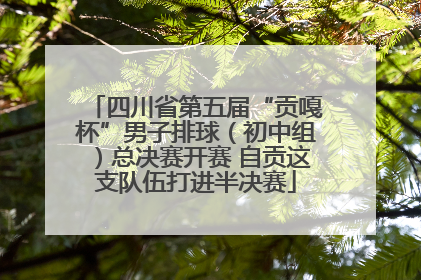 四川省第五届“贡嘎杯”男子排球（初中组）总决赛开赛 自贡这支队伍打进半决赛
