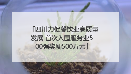四川力促餐饮业高质量发展 首次入围服务业500强奖励500万元
