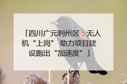 四川广元利州区：无人机“上岗” 助力项目建设跑出“加速度”