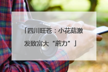 四川旺苍：小花菇激发致富大“蘑力”