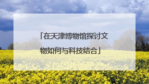在天津博物馆探讨文物如何与科技结合