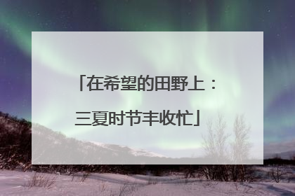在希望的田野上：三夏时节丰收忙