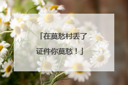 在莫愁村丢了证件你莫愁！