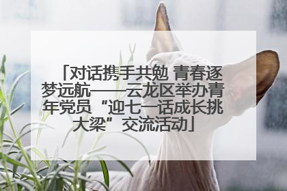 对话携手共勉 青春逐梦远航——云龙区举办青年党员“迎七一话成长挑大梁”交流活动