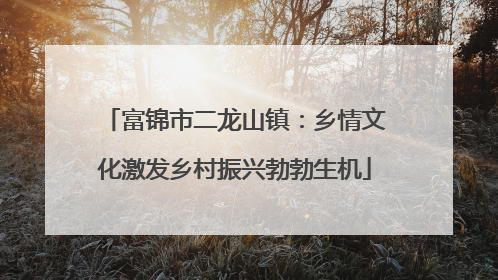 富锦市二龙山镇：乡情文化激发乡村振兴勃勃生机