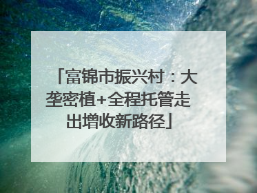 富锦市振兴村：大垄密植+全程托管走出增收新路径