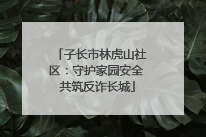 子长市林虎山社区：守护家园安全 共筑反诈长城