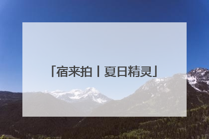 宿来拍丨夏日精灵
