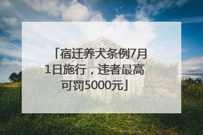 宿迁养犬条例7月1日施行，违者最高可罚5000元