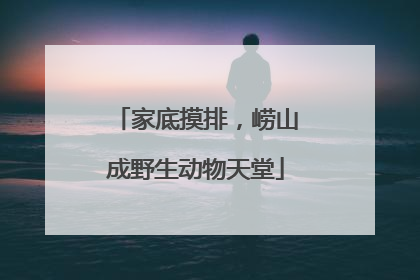 家底摸排，崂山成野生动物天堂
