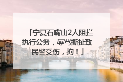 宁夏石嘴山2人阻拦执行公务，辱骂撕扯致民警受伤，拘！