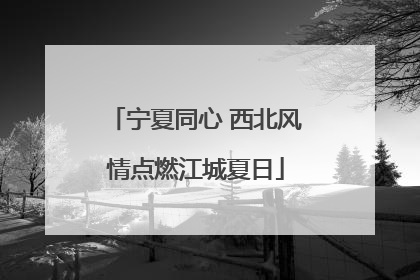宁夏同心 西北风情点燃江城夏日