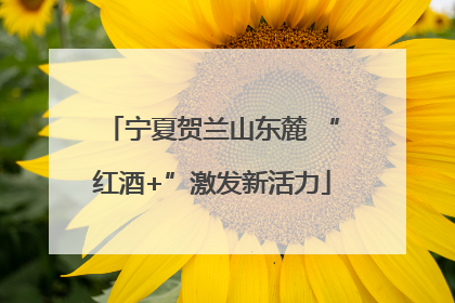 宁夏贺兰山东麓 “红酒+”激发新活力