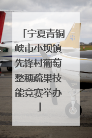 宁夏青铜峡市小坝镇先锋村葡萄整穗疏果技能竞赛举办