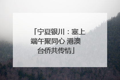 宁夏银川：塞上端午聚同心 港澳台侨共传情