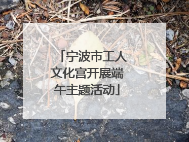 宁波市工人文化宫开展端午主题活动