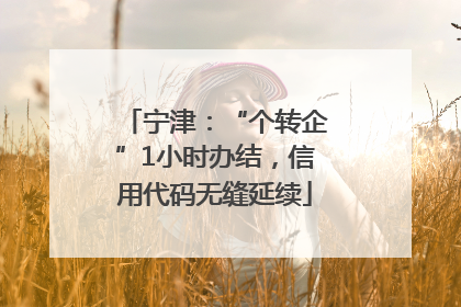 宁津：“个转企”1小时办结，信用代码无缝延续