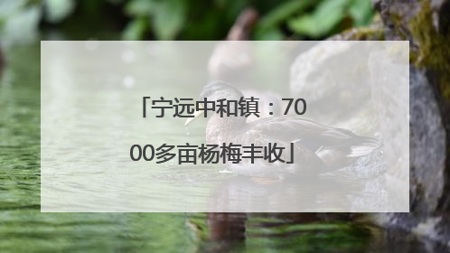 宁远中和镇：7000多亩杨梅丰收