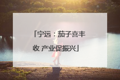 宁远：茄子喜丰收 产业促振兴