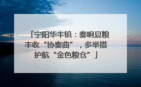 宁阳华丰镇：奏响夏粮丰收“协奏曲”，多举措护航“金色粮仓”