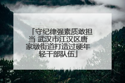 守纪律强素质敢担当 武汉市江汉区唐家墩街道打造过硬年轻干部队伍