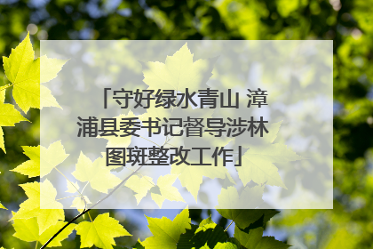 守好绿水青山 漳浦县委书记督导涉林图斑整改工作