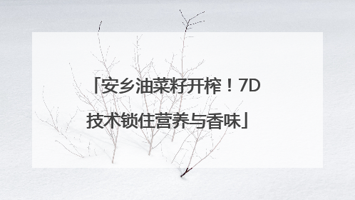 安乡油菜籽开榨！7D技术锁住营养与香味