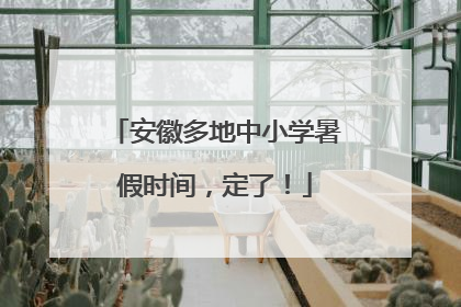 安徽多地中小学暑假时间，定了！