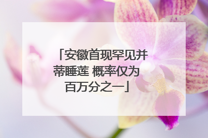 安徽首现罕见并蒂睡莲 概率仅为百万分之一