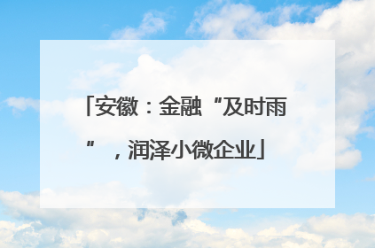 安徽：金融“及时雨”，润泽小微企业
