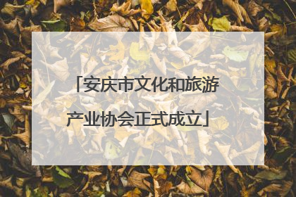 安庆市文化和旅游产业协会正式成立