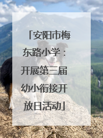 安阳市梅东路小学：开展第三届幼小衔接开放日活动
