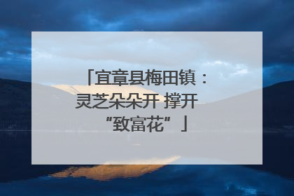宜章县梅田镇：灵芝朵朵开 撑开“致富花”